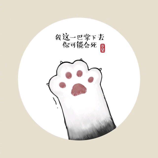萌萌的猫爪高清‘手机壁纸’，猫爪墙纸图片大全可爱（一系列猫爪高清壁纸）