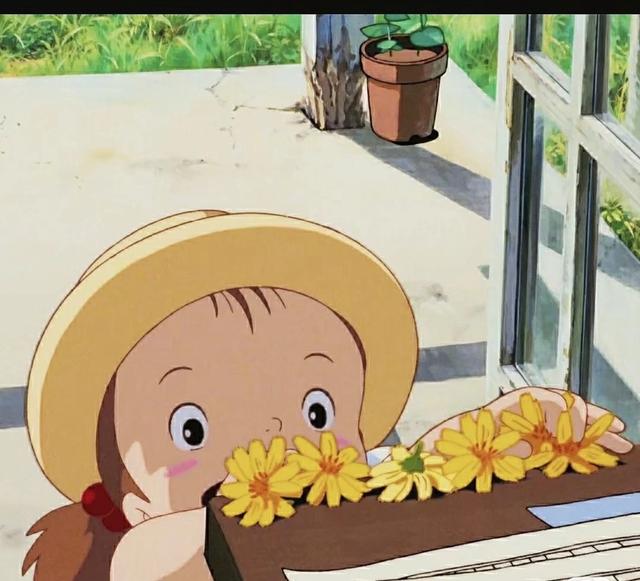 龙猫，微信头像，龙猫（宫崎骏龙猫小梅无水印超清头像）