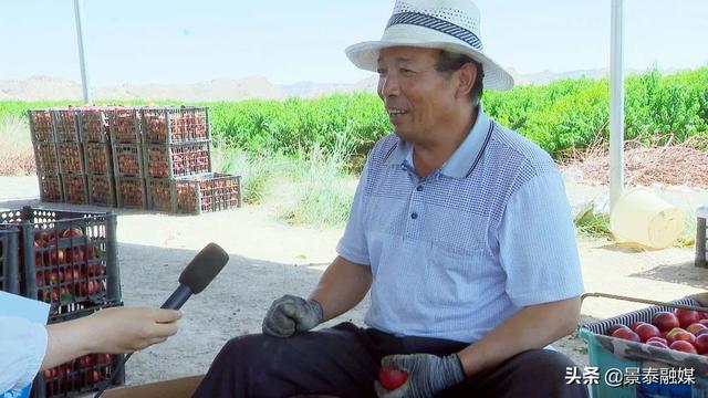 油桃含糖量高吗，油桃含糖量高吗（油桃“甜蜜”上市，等你来尝鲜）