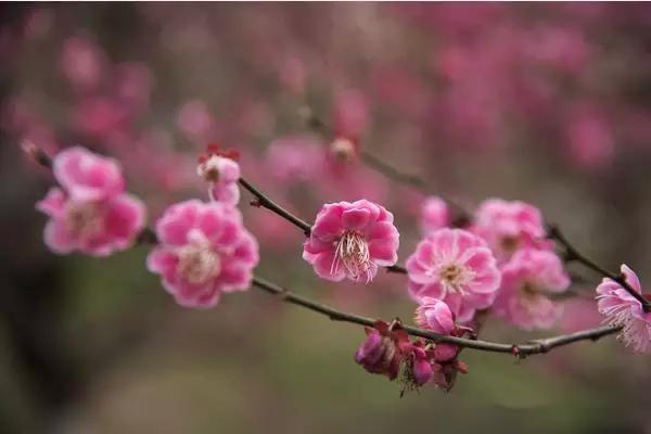 广东海洋大学是一本还是二本，广东海洋大学录取分数线2022（广东本科大学二批学校总汇）