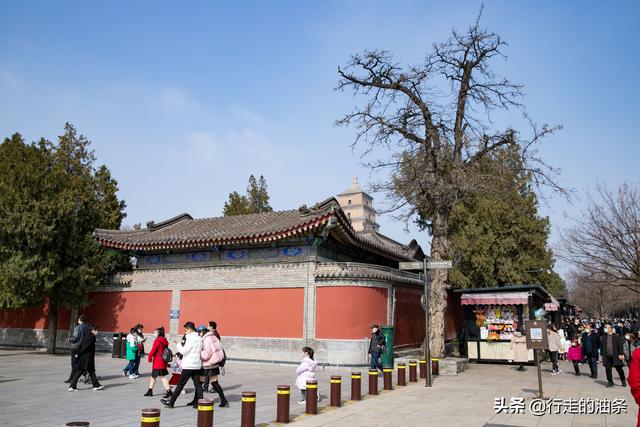 大雁塔的修建和哪位名人有关，大雁塔的修建和哪位名人有关蚂蚁答题（只为玄奘的坚毅和白居易的雁塔题名）