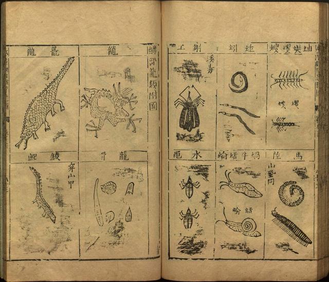 本草纲目全书带图，李时珍本草纲目全书（李时珍著《本草纲目》附图卷）