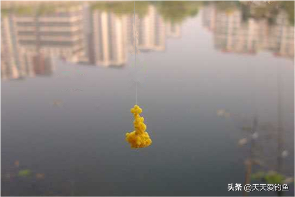 七星漂正确的调漂方法，七星漂钓鱼技巧（七星漂钓组标准调漂步骤）