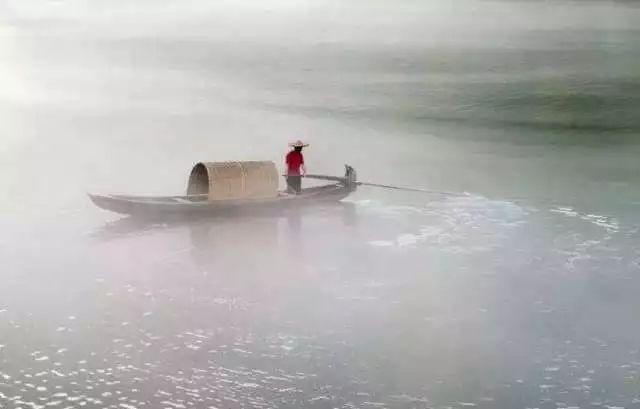 当归的作用，当归的作用和功效当归的吃法（当归——不只是补血）