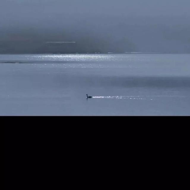 蓝色系美图，蓝色系美图动漫（蓝色系背景图合集）