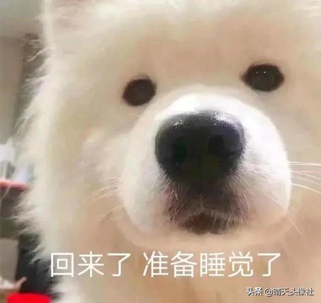 表情包啊啊啊，微信头像，表情包啊啊啊（表情包 ， 女孩就要酷一点）
