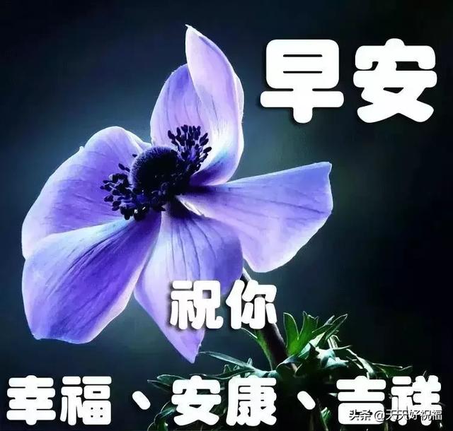 关于中元节的问候句子，中元节可以发问候语吗（7月15中元节清晨问候语句）