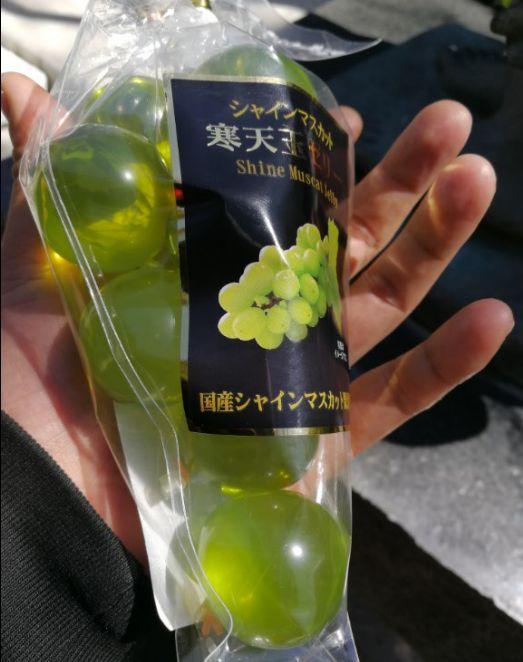 芥末为什么叫瓦萨比，瓦沙米是芥末吗（终于去了安昙野大王山葵农场）