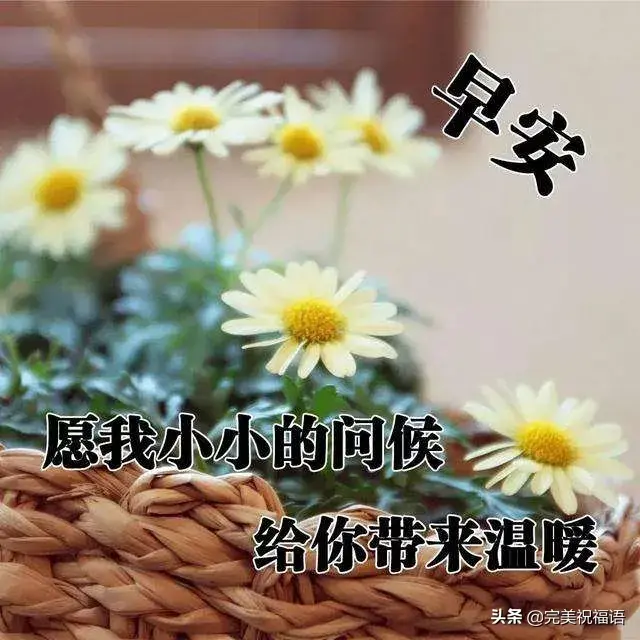 清晨心语唯美诗句，清晨心语优美的语句（给你送去芬芳；寄一粒红豆）