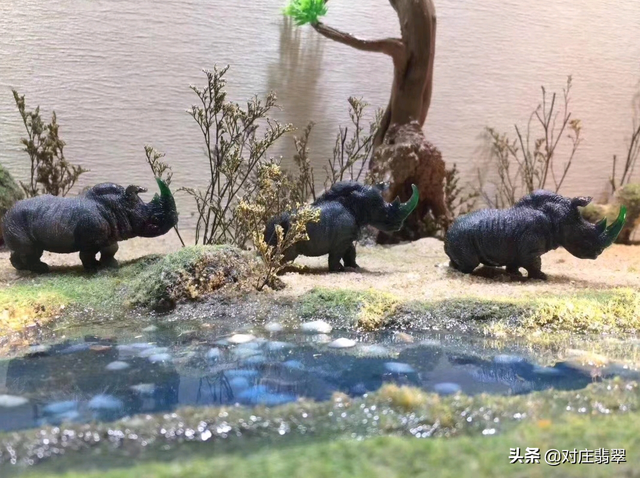 翡翠乌鸡料是什么料，黑乌鸡在翡翠中属于什么档次（为什么乌鸡种翡翠犀牛受人喜爱）