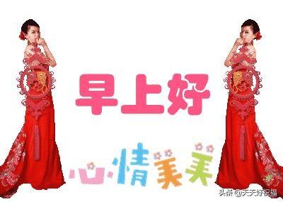 每日早安问候语，早安问候语暖心一句话（每日清晨最新早安问候语简短一句话致大家）