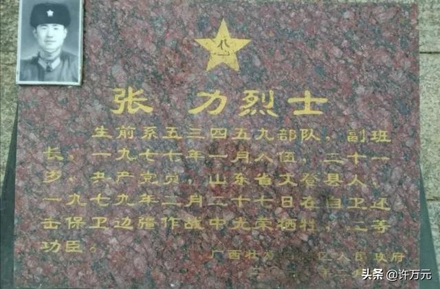 国产经典电影，《高山下的花环》播出后（国产经典电影）