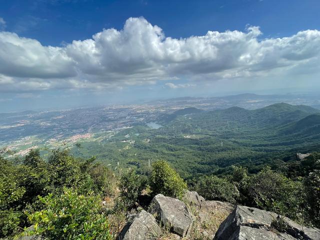 厦门十大适合端午旅游的地方是什么，厦门适合秋游的地方（推荐几个值得一去的小众打卡点）