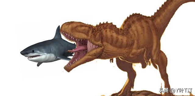 特暴龙 体态比较大属于暴龙超科远亲是霸王龙，特暴龙和霸王龙谁厉害（异特龙超科<下盘点>）