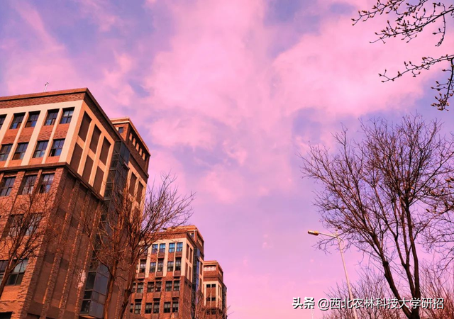 西北农林科技大学在哪，985里最差的十所大学（占地56012.28亩）