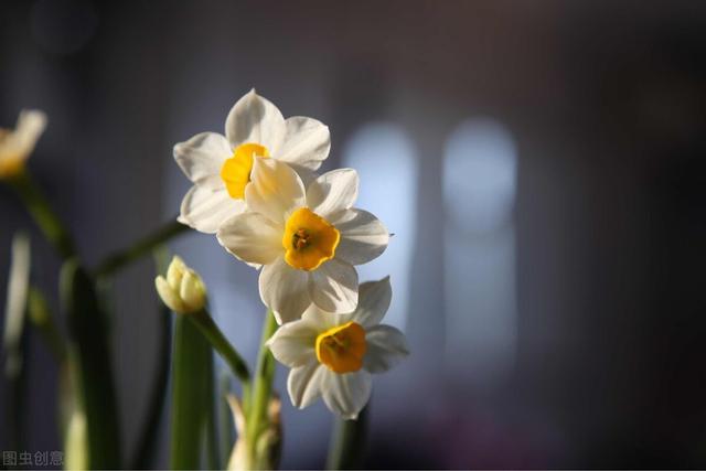 超好看文案图片，超好看文案图片伤感（适合日常分享配图）