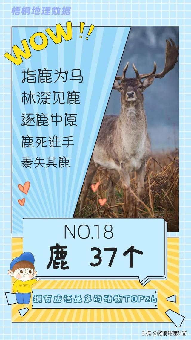 关于猫的词语有多少个，关于猫的词语有多少个词语（盘点哪种动物拥有的成语最多）