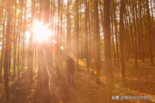 关于冬天的诗词，关于冬天的诗词古诗（十首冬日诗词，读完心里暖洋洋）