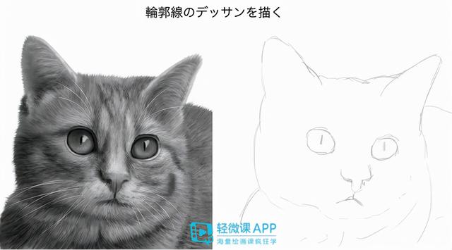 7步教你学会画老虎，7步教你学会画老虎视频（动物简单画法技巧）