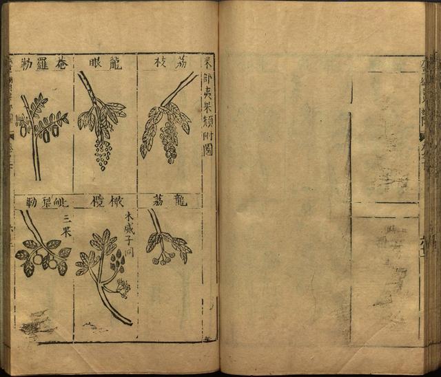 本草纲目全书带图，李时珍本草纲目全书（李时珍著《本草纲目》附图卷）