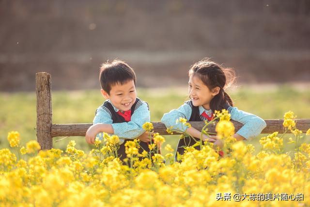 如何拍出油画效果，如何用相机拍出油画的效果（怎么把照片拍出油画效果）