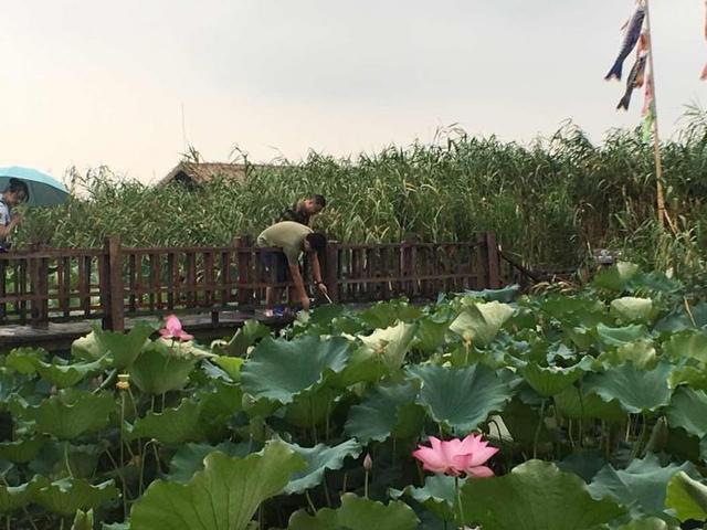 无锡自驾游，无锡自驾游一日游攻略（浙江无锡周边短途自驾游景点攻略推荐）