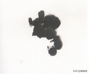 牡丹花头的画法对照表，写意牡丹花头的各种画法