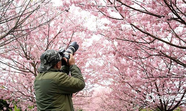 数九寒冬的数是什么意思，数九严寒数的意思（大数据告诉你数九都有啥讲究）