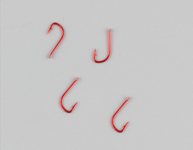 麦穗鱼如何挑选，麦穗鱼 观赏鱼（袖钩的4号和5号相比）