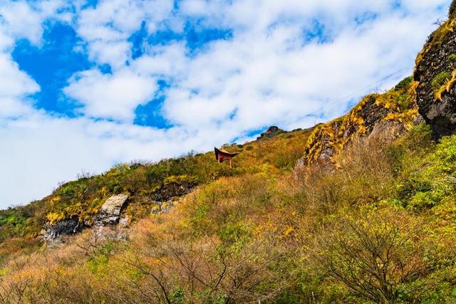 梵净山在哪里呢，梵净山在哪里个省哪个市（北半球最古老的生态乐园）