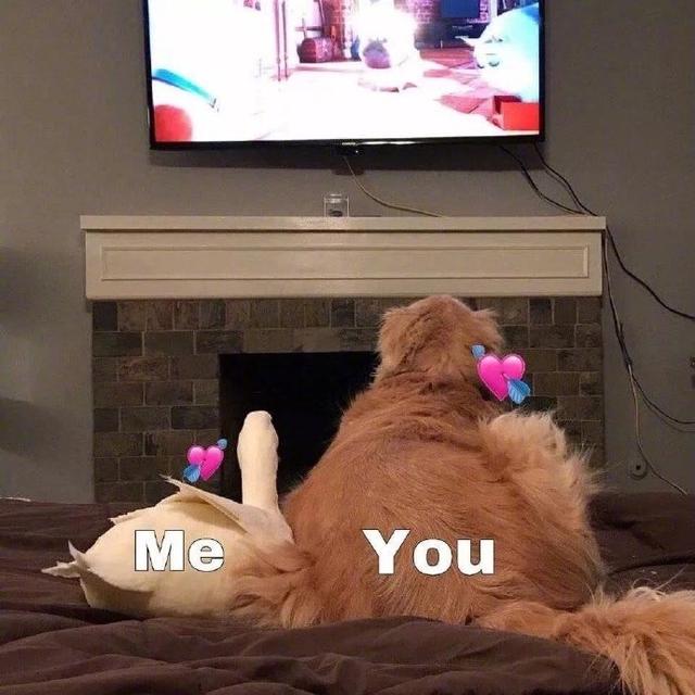 小仙女专用表情包，专门怼小仙女的表情包（适合小仙女用的可爱表情包图片）