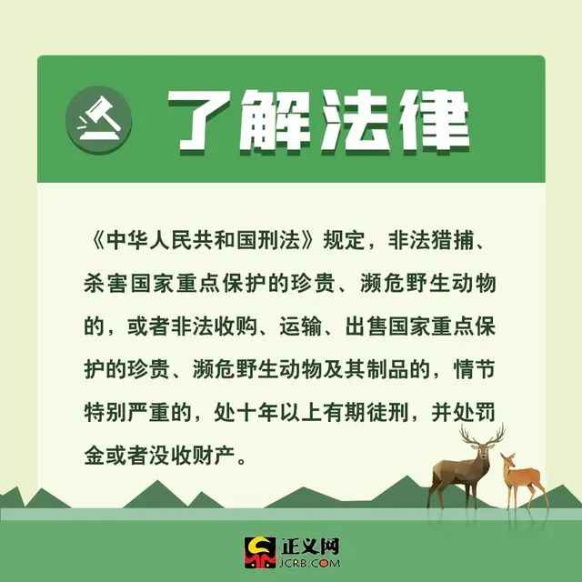 保护动物的方法，保护野生动物，你应该这样做