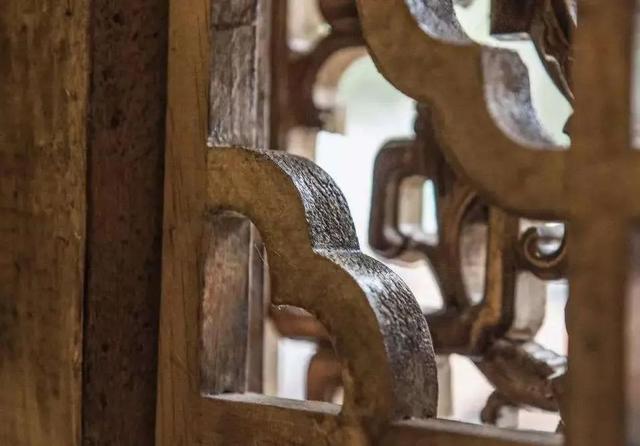 跑堂狗是什么，算命说的跑堂是什么意思（跑堂“瞎子狗”）