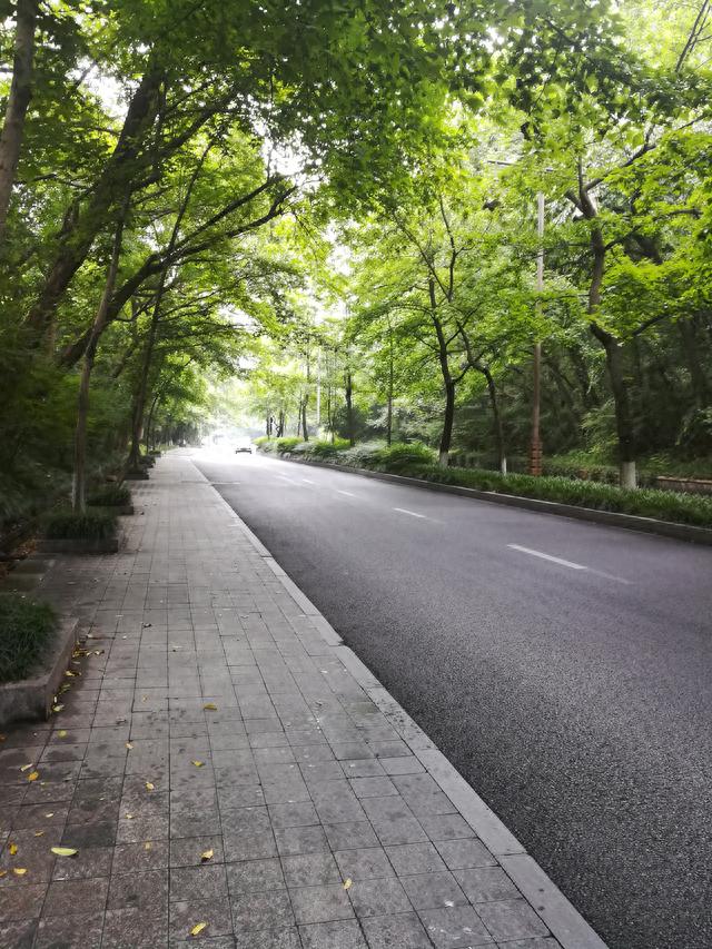 印象西湖之青年公园