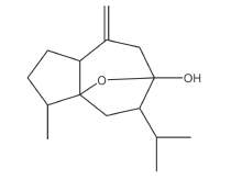 molish反应，molish反应可以检验什么成分（考前必看82个易错考点）