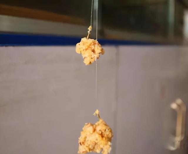 秋冬钓鲫鱼窝料配方，冬季钓鲫鱼的窝料配方（温度越低越好用）