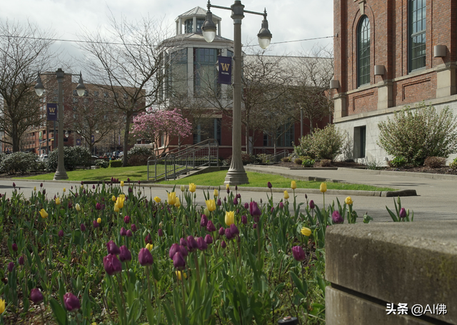 什么是州立大学，美国州立大学有哪些（美国最自由的公立大学）