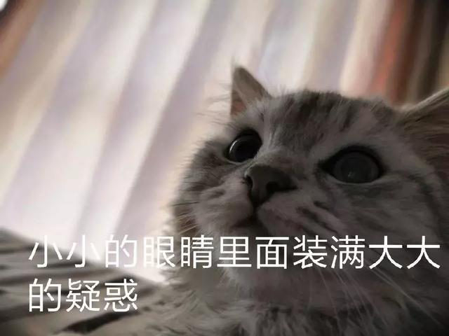 汽车起名字大全，汽车起名字大全免费（真是“土味”十足）