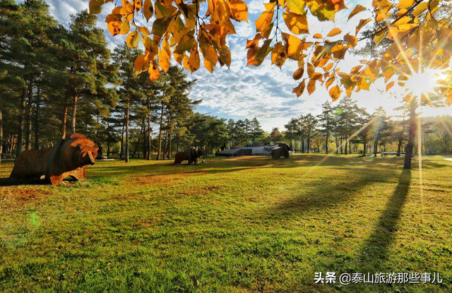 华夏起源长白山，看康熙《泰山山脉自长白山来》怎么说