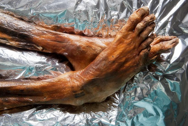 木乃伊是怎么形成的，木乃伊是怎么形成的图片（跟他有过接触的人都死了）