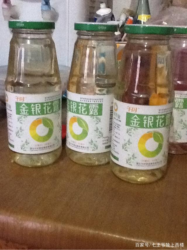 金银花露都写了哪些文，金银花露写过什么（童年记忆中的金银花露）