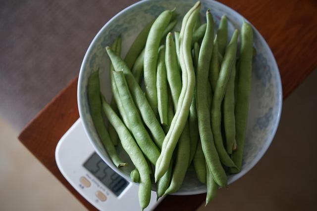 海尔对开门智能冰箱调温图解，智能海尔冰箱温度怎么调节图解（海尔BCD-515WDPD）