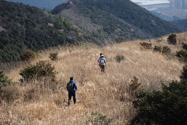 沙里瓦是什么意思，沙乌沙里瓦是什么意思（新年用红蓝新衣组CP-沙乐华男女羽绒服）