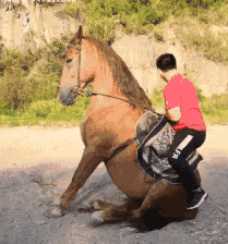 美男们妻主驾到，求轻松搞笑的男主角的小说（哈哈！姑娘需要我帮你训训吗）