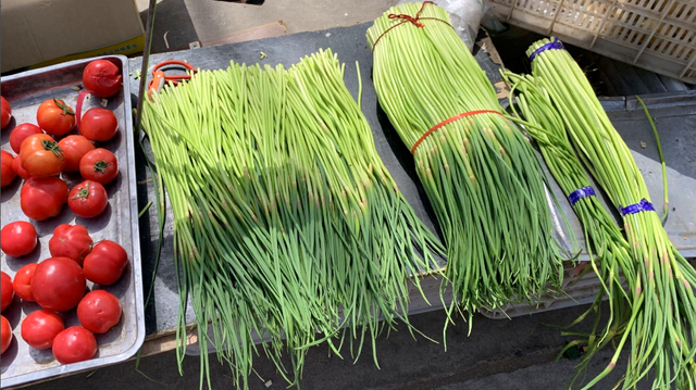 蒜苔怎么炒，蒜苔怎么腌制好吃又脆（有人过油有人过水）