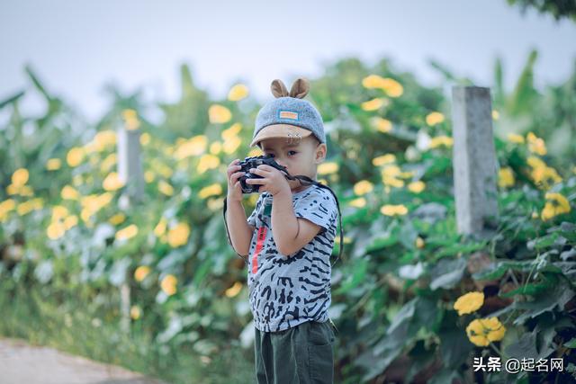玮字取名男孩有寓意，玮字取名什么寓意（家人全票通过的男孩名）