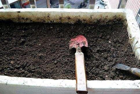 制作花卉营养土的方法，就能自制营养土了
