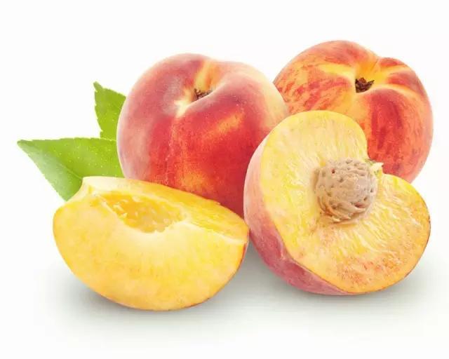 梨的简笔画图片，教你画水果梨子的简笔画（儿童水果简笔画教程大全）