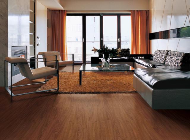 地龙骨定义的介绍，它的功效与作用是什么（学会挑选妙招，让冬天更加温暖）