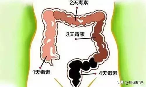 如何清理肠道宿便，如何排毒清理肠道垃圾（口气色斑大肚楠全没了）